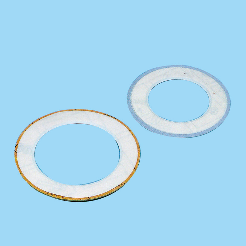 PTFE coated gasket