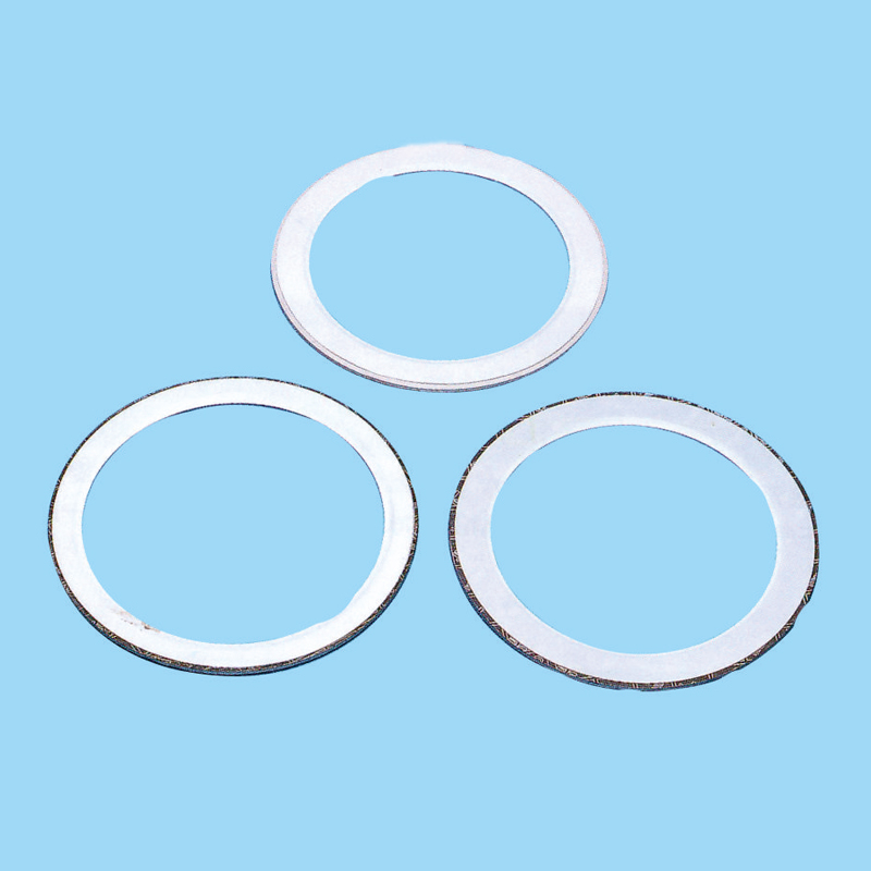 PTFE coated gasket