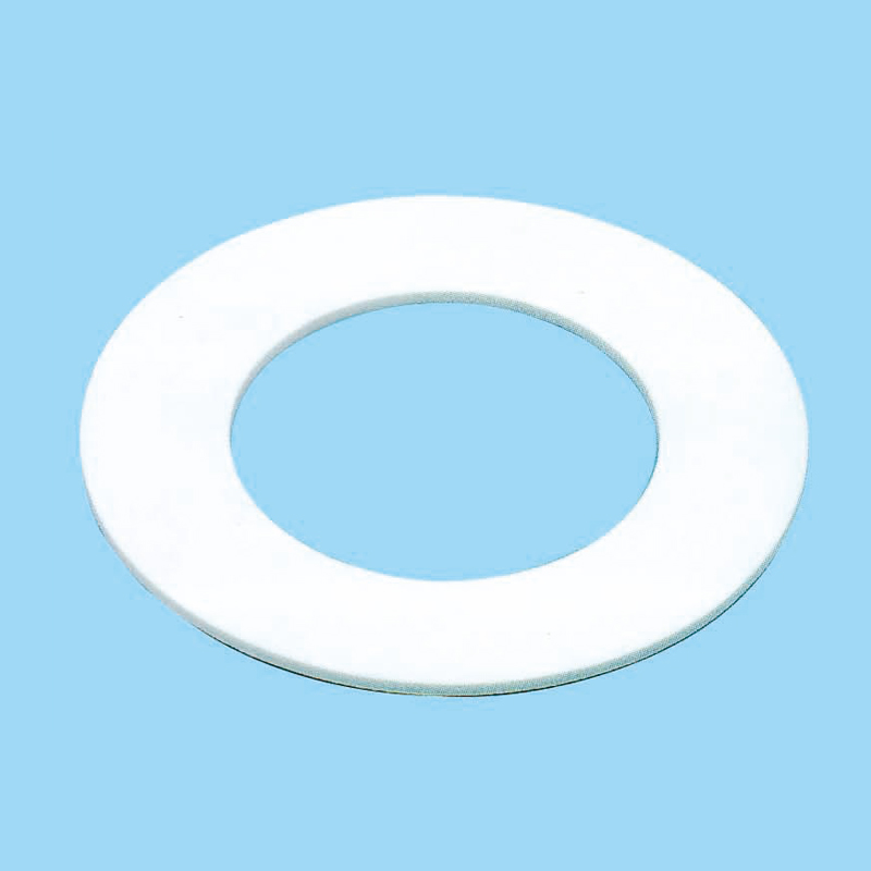 PTFE gasket